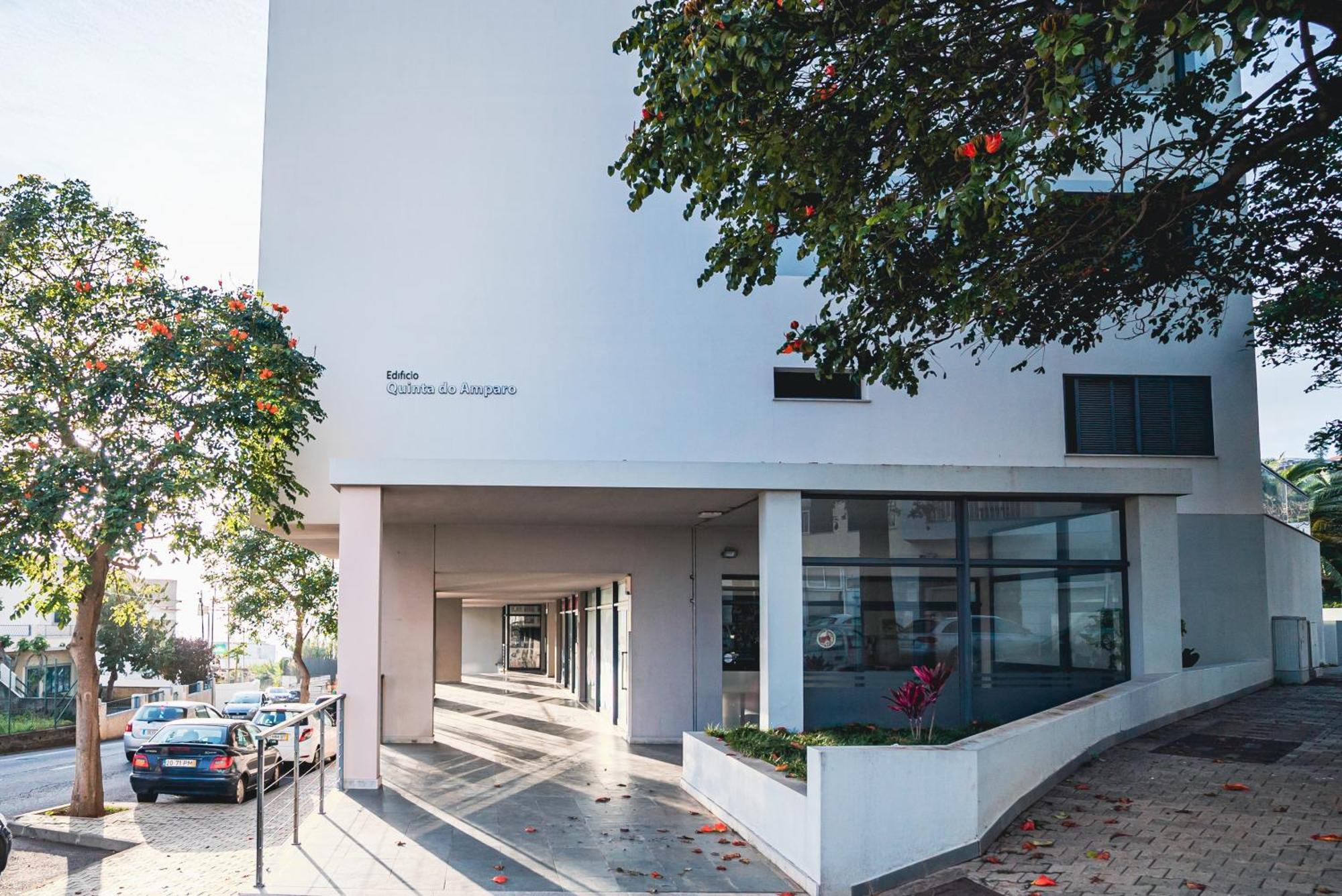 Madeira Luxury Amparo Apartment Фуншал Екстериор снимка
